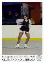 Patinaje sobre Hielo