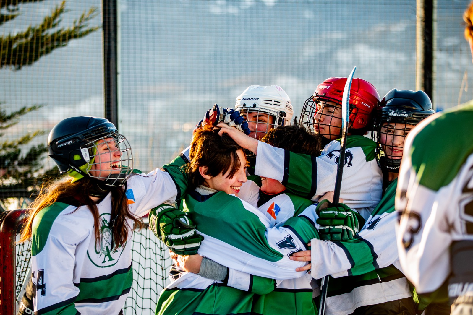 Hockey sobre Hielo y en Linea